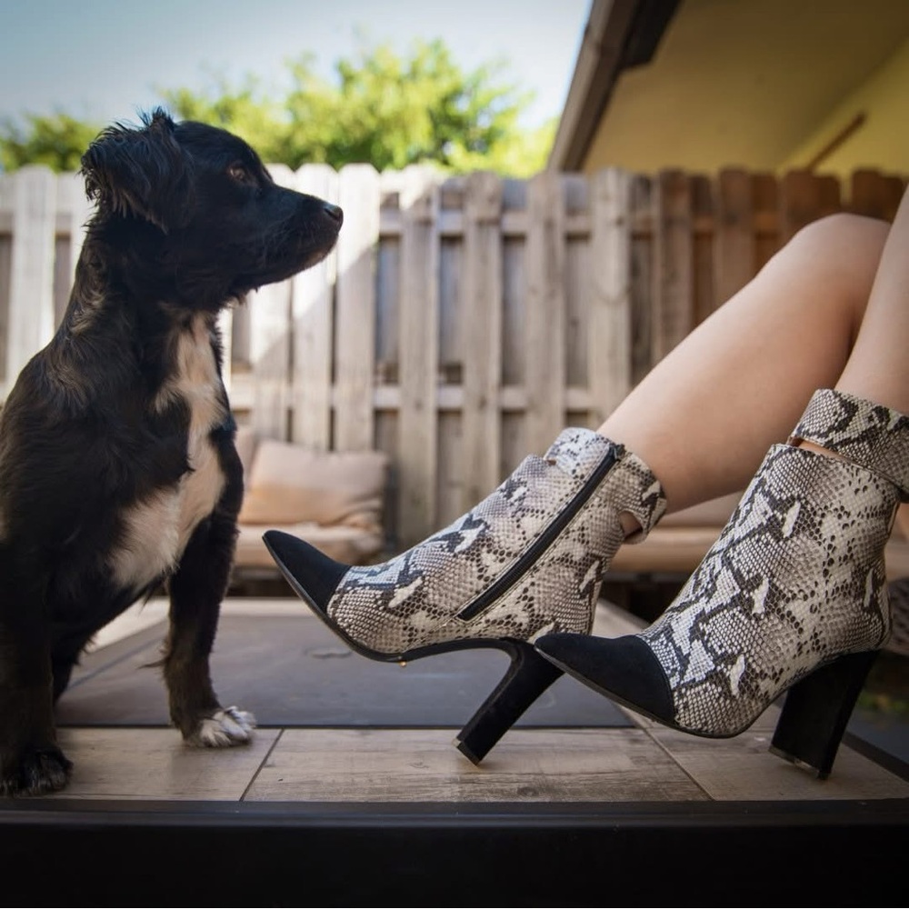 42 GOLD Snake Print Heeled Boots